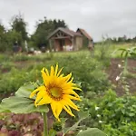 Un Chalet Au Verger-Dog Friendly-Jacuzzi & Massages * Conteville (Eure)