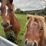 Un Chalet Au Verger-Dog Friendly-Jacuzzi & Massages Domek alpejski