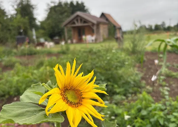 Un Au Verger Dog Friendly * Conteville (Eure)