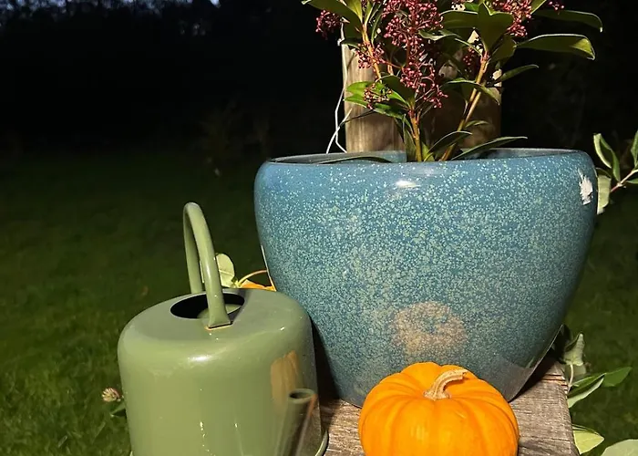 Un Chalet Au Verger-Dog Friendly-Jacuzzi & Massages בקתה Conteville (Eure)