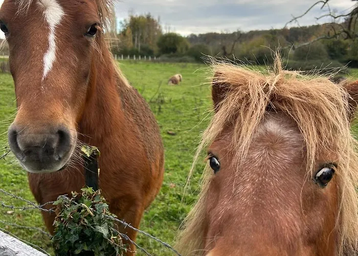 Un Au Verger Dog Friendly Chalet