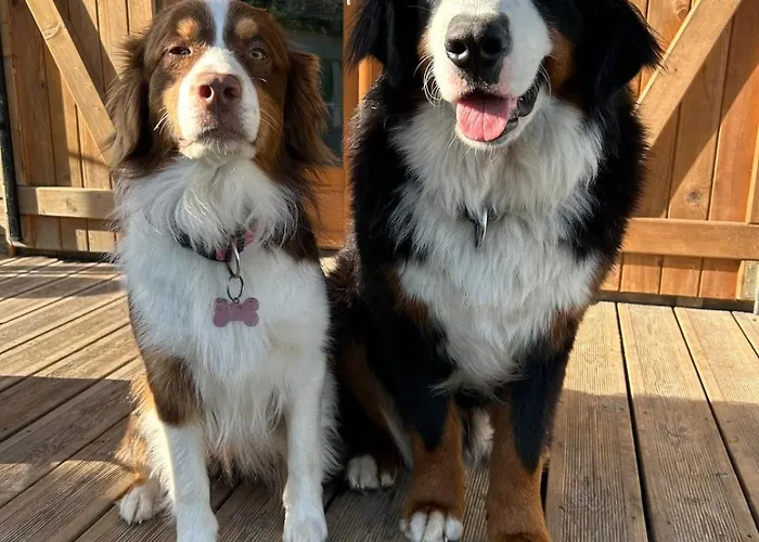 Un Chalet Au Verger-Dog Friendly-Jacuzzi & Massages Conteville (Eure)