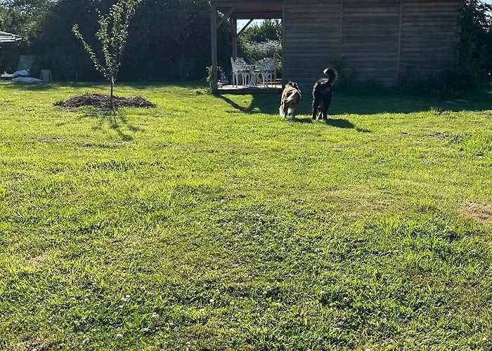 Un Au Verger Dog Friendly Chalet